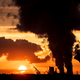 The sunset is pictured as steam rises from the chimneys of Niederaussen lignite-fired power plant in Roggendorf, western Germany on November 8, 2019.